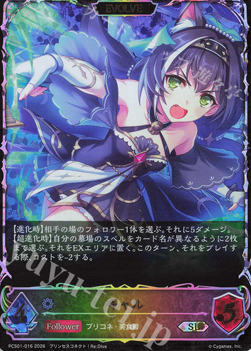 SL キャル 買取 | [PCS01]プレミアムカードセット「プリンセスコネクト