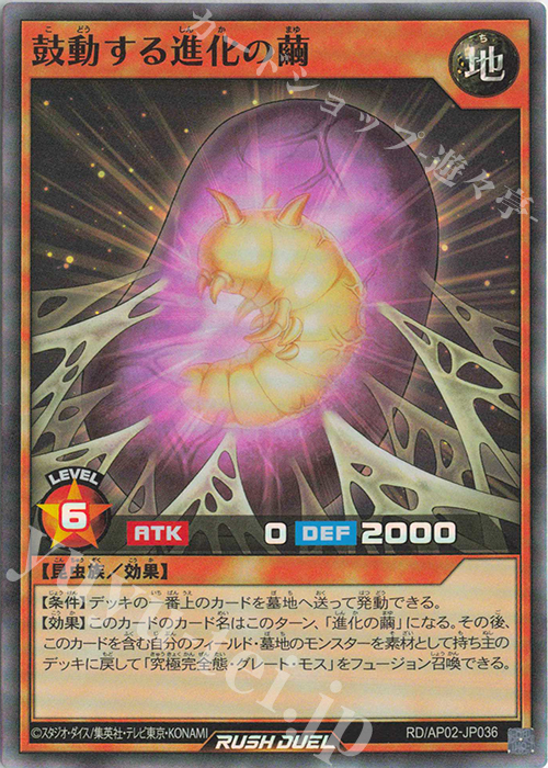 SR 鼓動する進化の繭 販売 | [AP02] アドバンスパックリベンジ・ハーツ