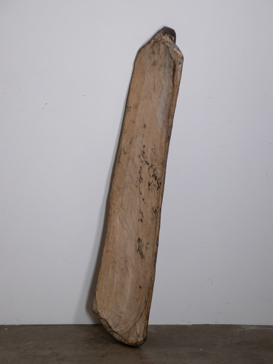 アスマット族の盾