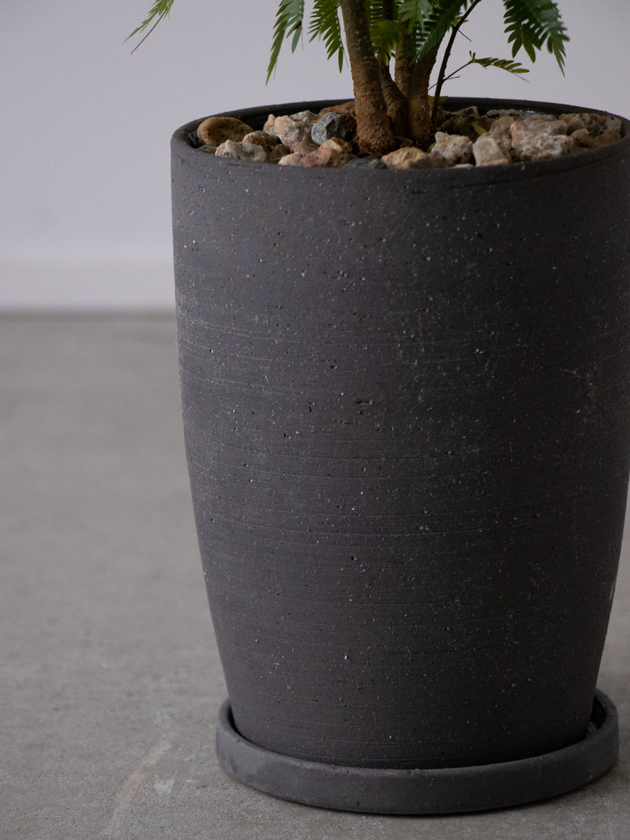 エバーフレッシュ