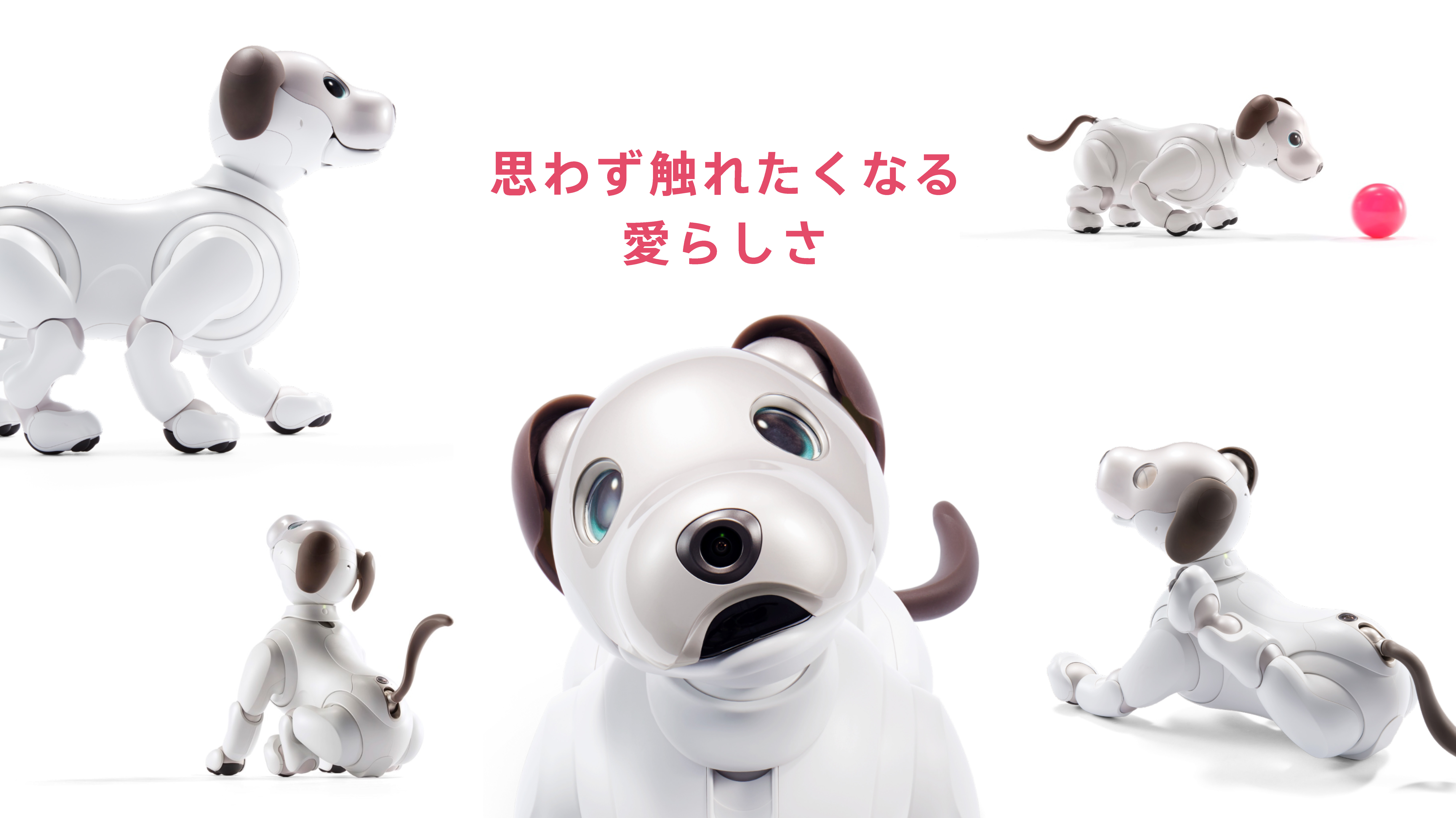 NEXT FIELD 3：愛くるしさ溢れる新生「aibo」〜動きに