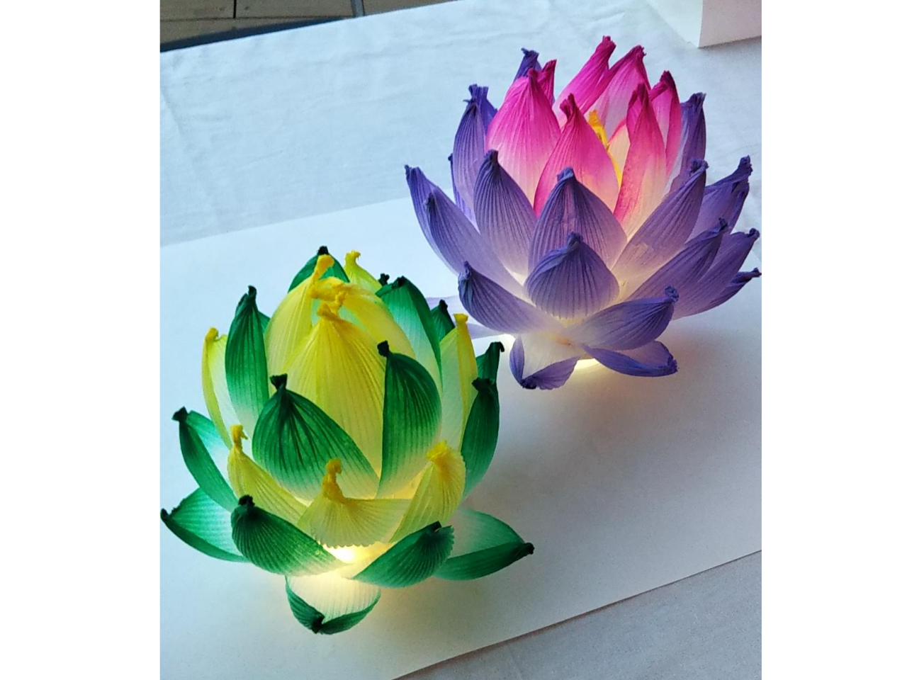 図書館店/蓮紙ランプ制作体験＊50分間《カップル、ファミリー、初めて