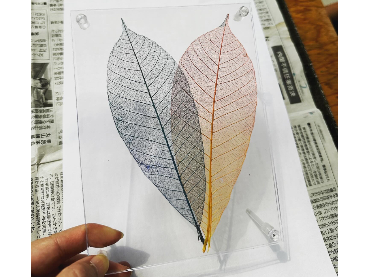 ボタニーペインティング体験】☆自然の葉で作るアート♪葉脈の美しさを