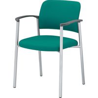 ベルシホーム スケルトンチェア（SkeletON chair） バーチ 55038 1脚