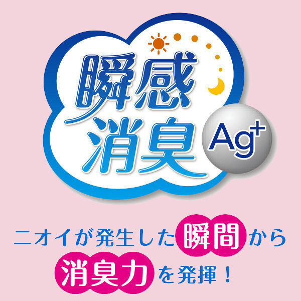 ポイズ 吸水ナプキン 超スリム＆コンパクト レギュラー 120cc 羽なし