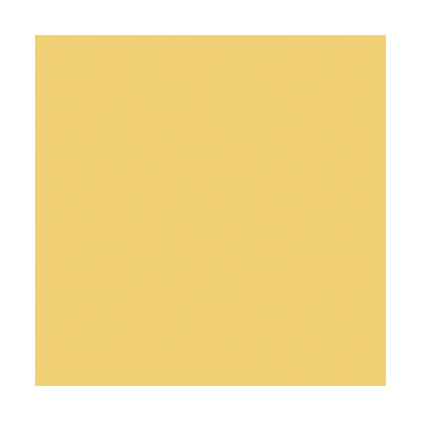 大王製紙 再生色画用紙 8ツ切 10枚 みかん A-07 1冊（直送品） - アスクル