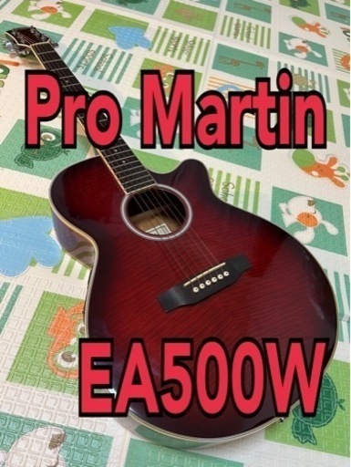 ☆売却済み☆【入門用に！】Pro Martin プロマーチン EA500W ※訳あり