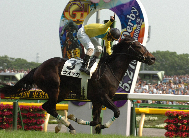 競走馬ウオッカが死ぬ、滞在先の英国で 07年日本ダービー優勝 | 毎日新聞