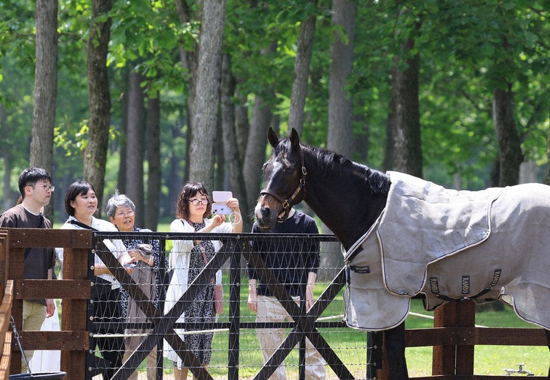 From馬産地：苫小牧「ノーザンホースパーク」 香港の英雄、余生