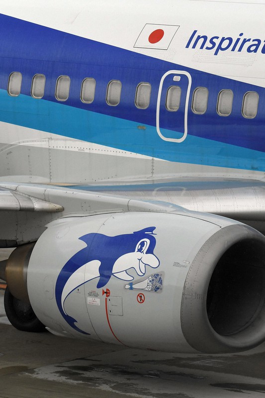 In Photos: Fans bid farewell to 'Super Dolphin' aircraft in