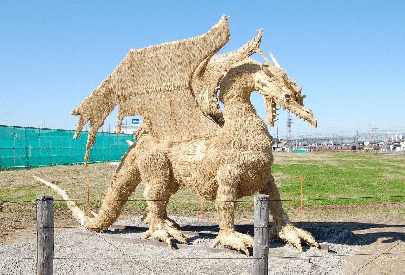 ど迫力!金色の巨大ホワイトタイガー 埼玉・東武動物公園駅前 リアル