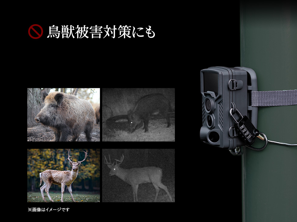 CMS-SC03GY【トレイルカメラ】暗闇でも撮影できる赤外線センサー内蔵の