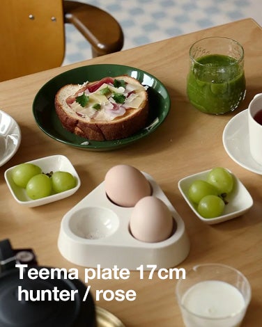 販売終了】iittala | Birds by Toikka Jewelled Kiwi