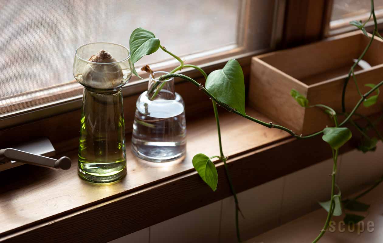 ホルムガード セレブレイト オリーブ scope ヒヤシンス用花瓶 2個