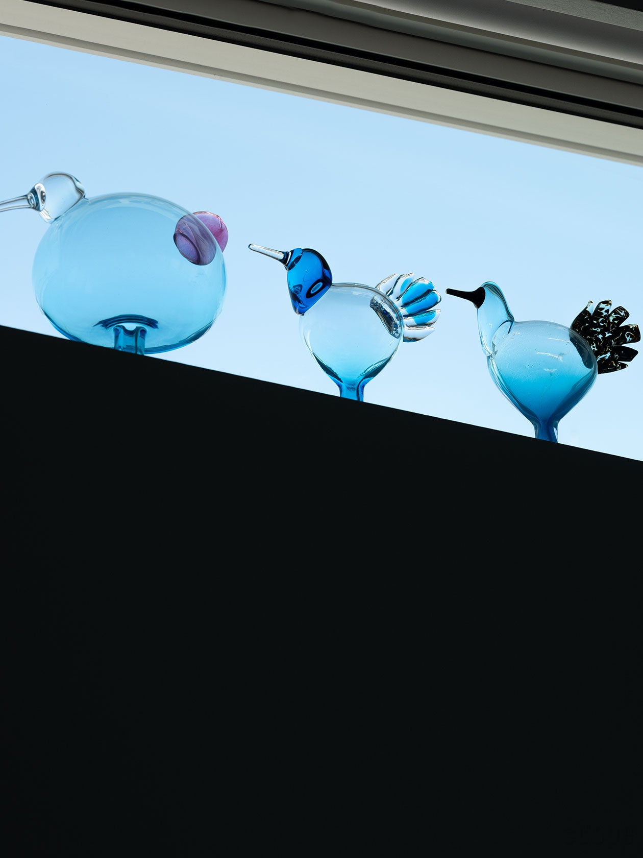 Birds by Toikka | Ano ターコイズ | iittala