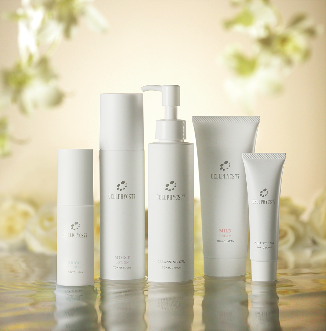 株式会社Cellphycs