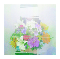 夏草が邪魔をする／ヨルシカ｜音楽ダウンロード・音楽配信サイト mora