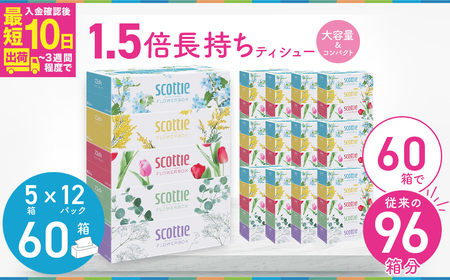 ティッシュ スコッティ フラワーボックス 250組 60箱 5箱×12ﾊﾟｯｸ