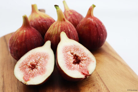 期間限定発送】 いちじく 桝井ドーフィン 約1.2kg (約300g×4パック