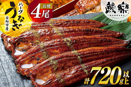 宮崎県産 ハーブ うなぎ 蒲焼 4尾 計720g 以上 タレ山椒付き [鰻楽