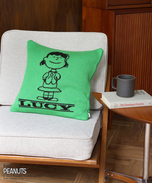 PEANUTS×SPORTS WEAR by JSF】別注 KNIT CUSHION クッションカバー