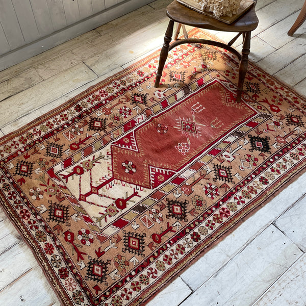 IMG_7425_grande.jpg?v=1724574043