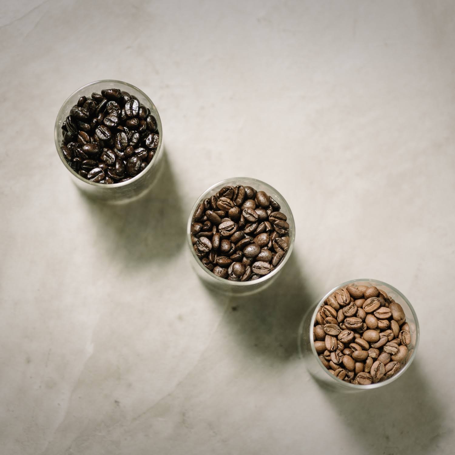 インド ポアブス農園 「セブンスヘブン」 バイオダイナミック