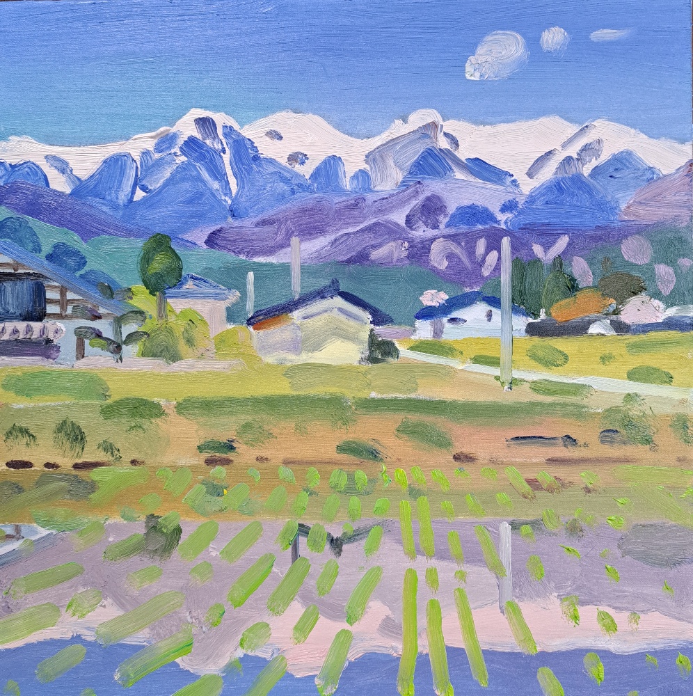 Hiraku Saimura Artworks 才村啓公式HP