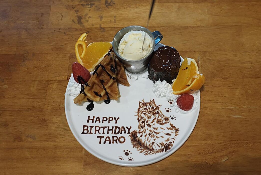 🥂プレートのご案内🎉〜 | ブログ | ジブ．フジbyオールドソーコ