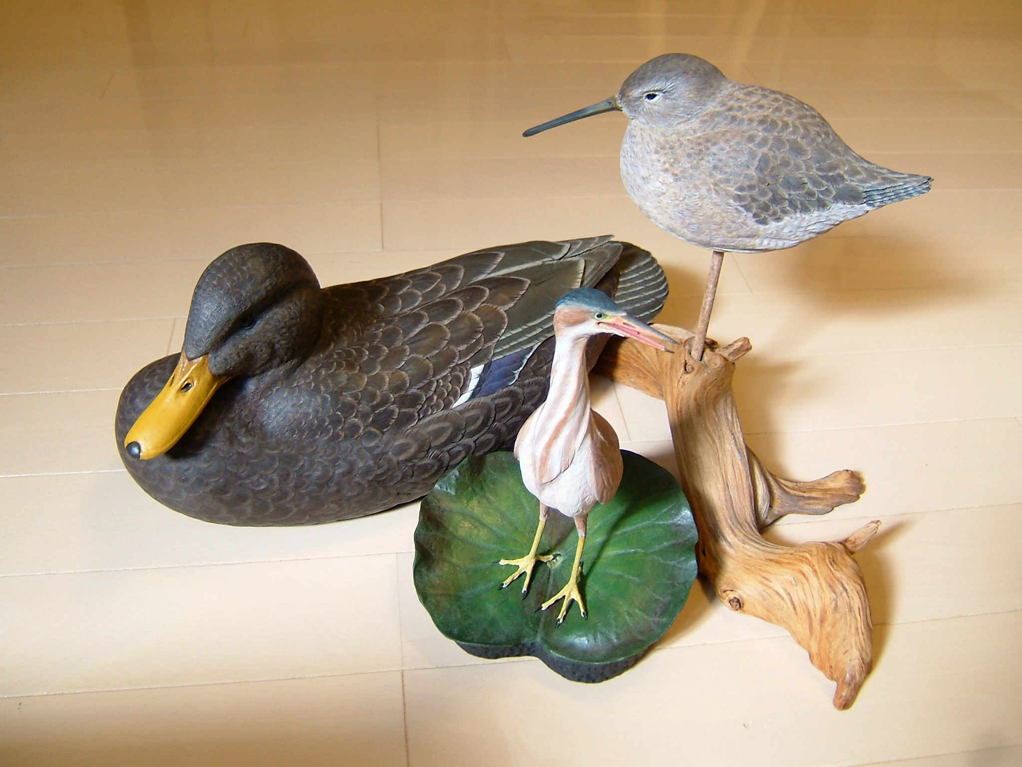 アニマル・バード カービング｜つかしんカルチャーセンター｜グンゼ