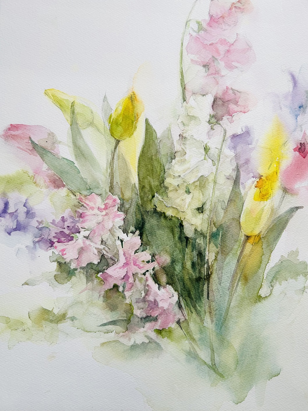 透明水彩画で描く 季節の花の水彩画｜仙川カルチャーセンター｜ステイ