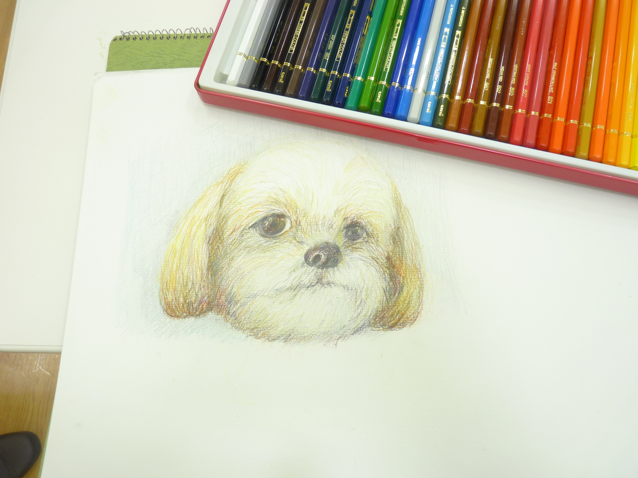 基礎から学べる 楽しい色鉛筆画・パステル画｜リバーシティカルチャー