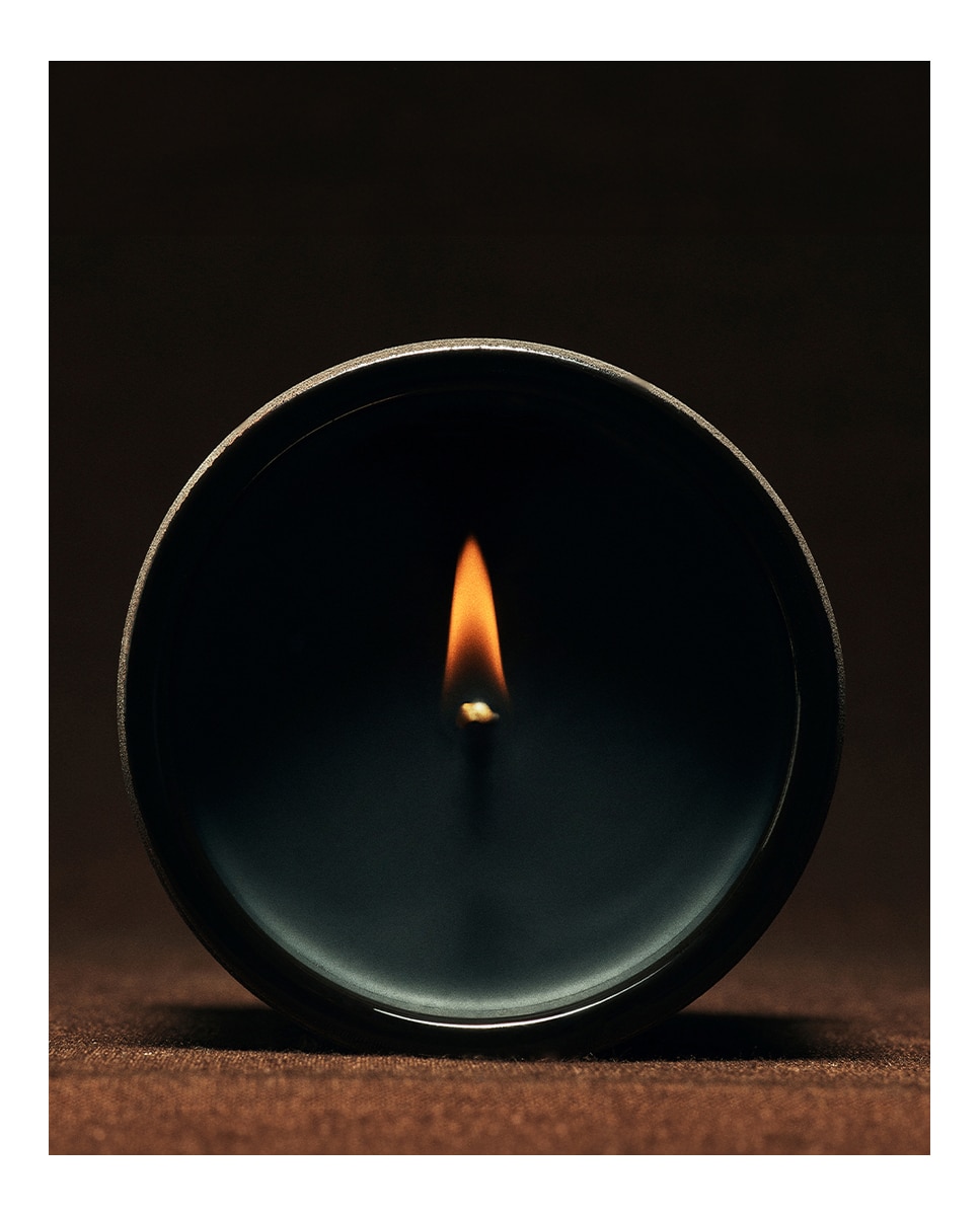 Vel Aromática Dendrochilum Magnum Orchid Pequeña Loewe · LOEWE