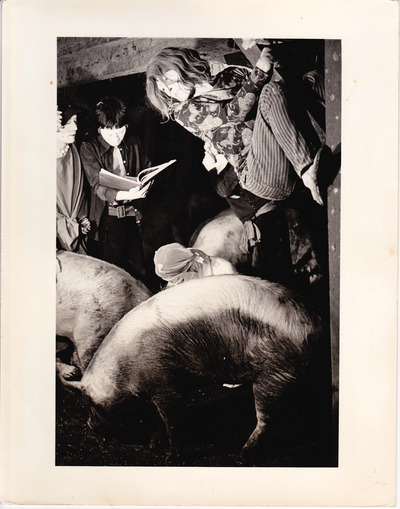 O氏の死者の書 | Dance Archive Network