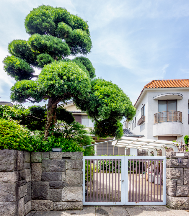 門かぶりの松」がおもしろい :: デイリーポータルZ