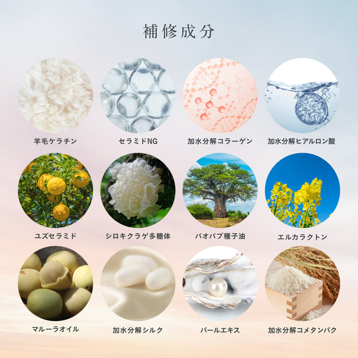 ESTABLISHED システムトリートメント – DD