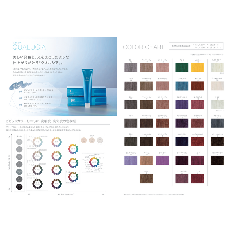 BLカラー クオルシア グレー11 – DD