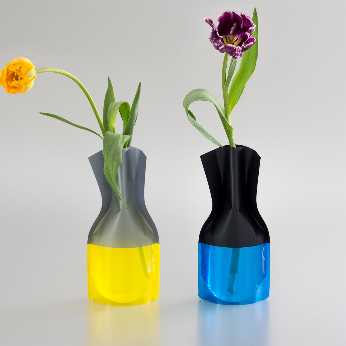 160301_DSC0126_1200x1200.jpg?v