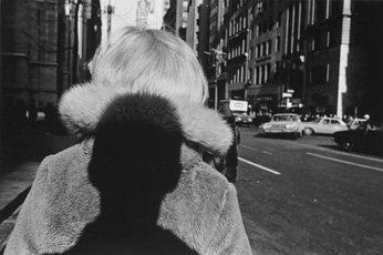 Friedlander · SFMOMA