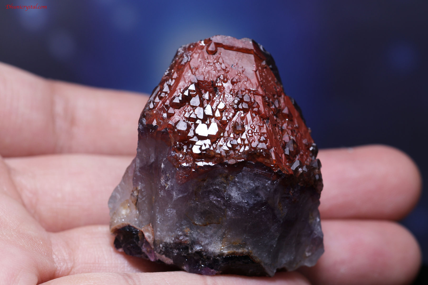 エイリアン・アメジスト(A647)