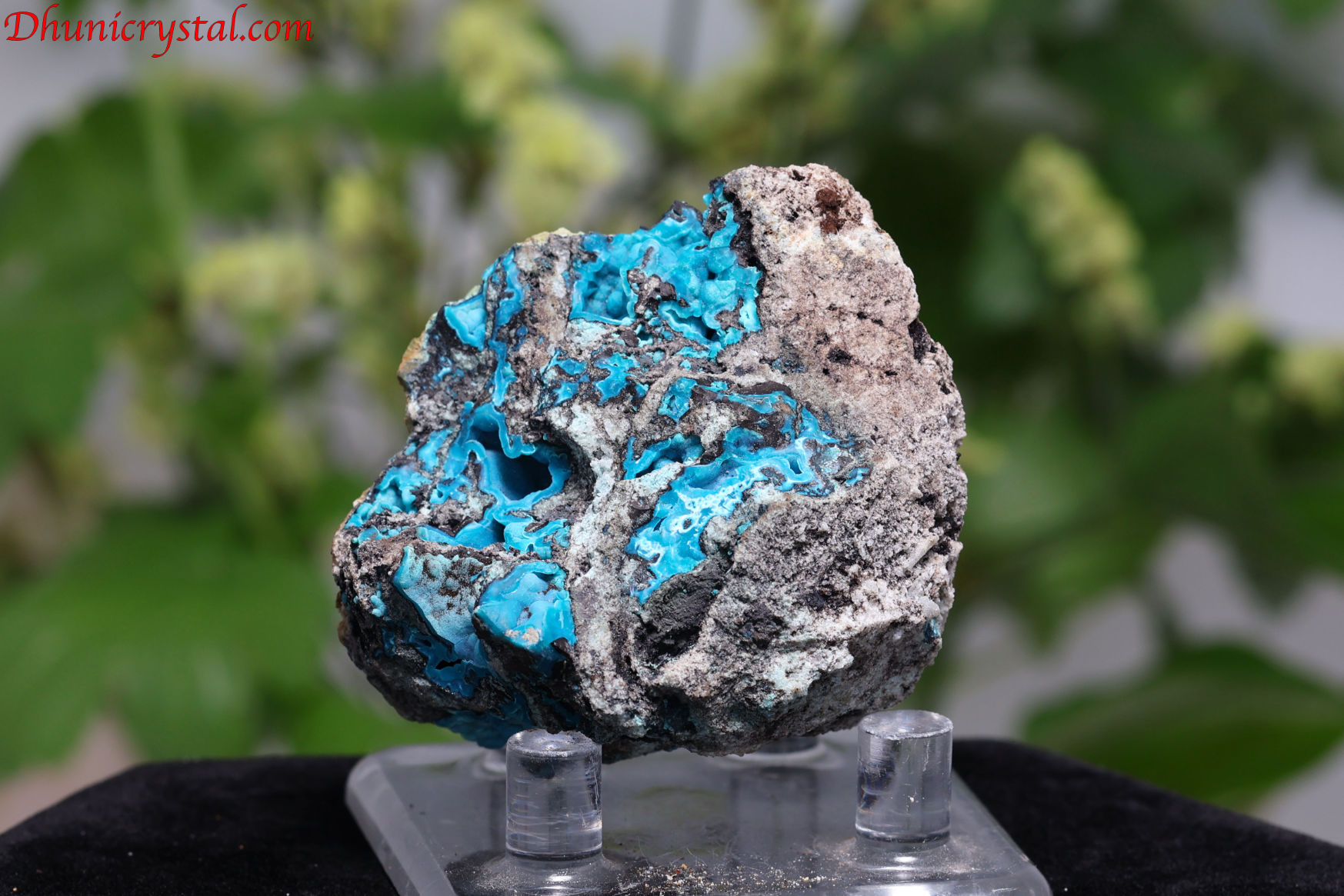 クリソコラ/原石(D862)