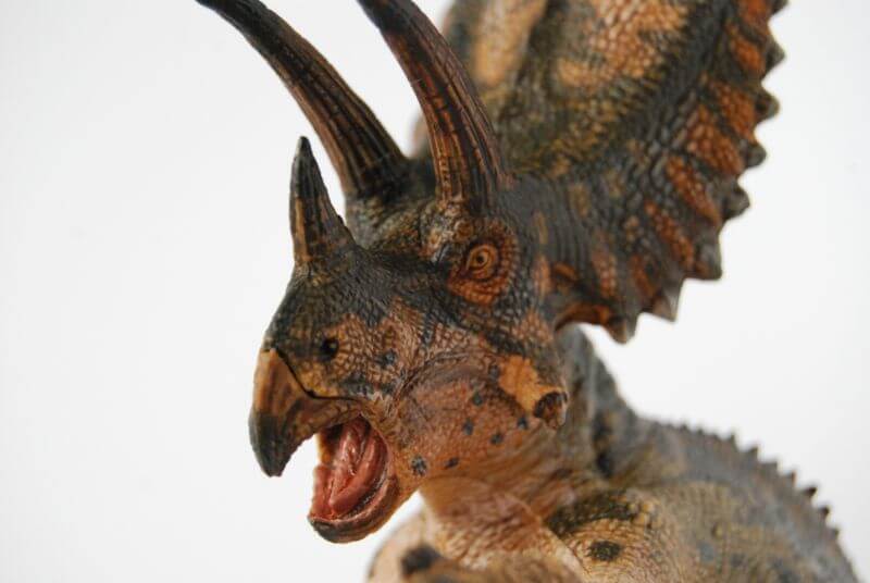 ペンタケラトプス（Papo）レビュー | 大人の恐竜模型館