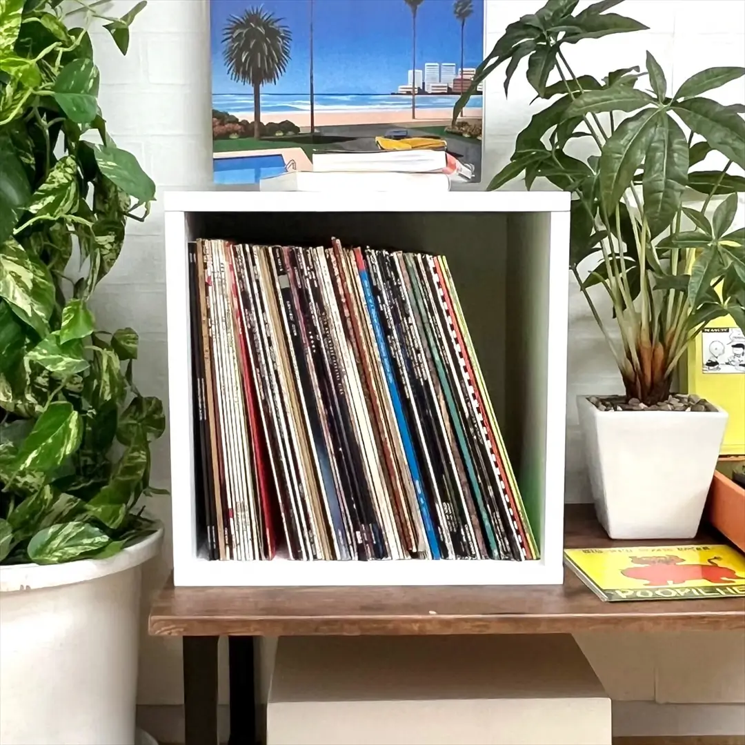 レコードラック スタンダード1BOX ホワイト/レコードラック｜CD