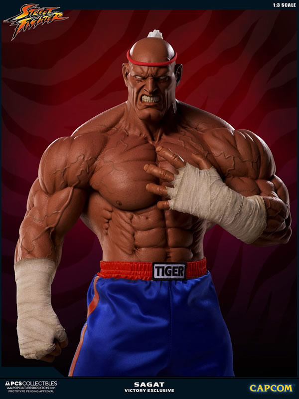 PCS Collectiblesの1/3スケール「サガット」フィギュアが凄い