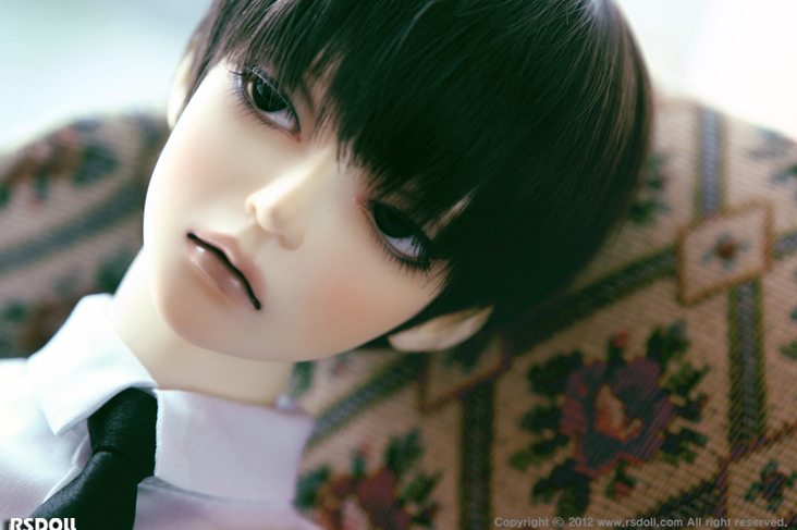 NEW EVAN｜DOLK（ドルク）