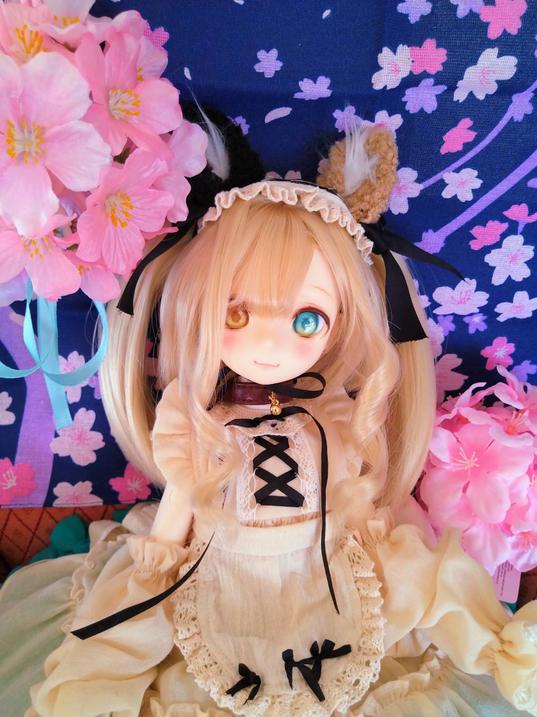 DOLK×Floral Garden×ふにゃほわ×MYOU DOLL】 Sandra 三毛猫Limited