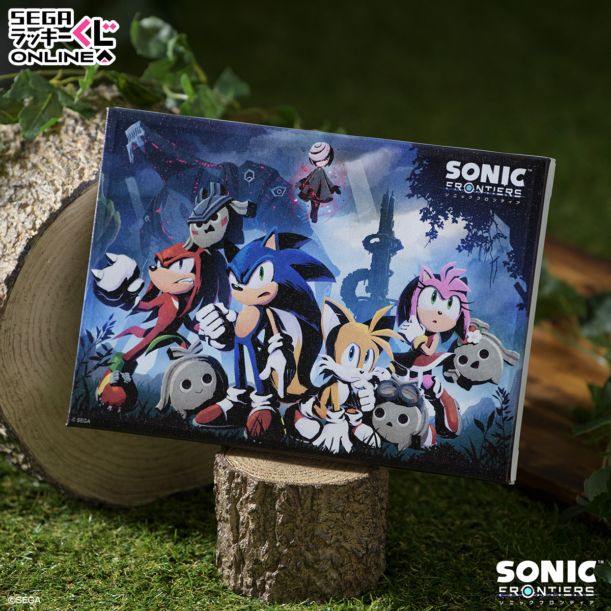 まとめ買いでぬいぐるみがもらえる！セガ ラッキーくじオンライン