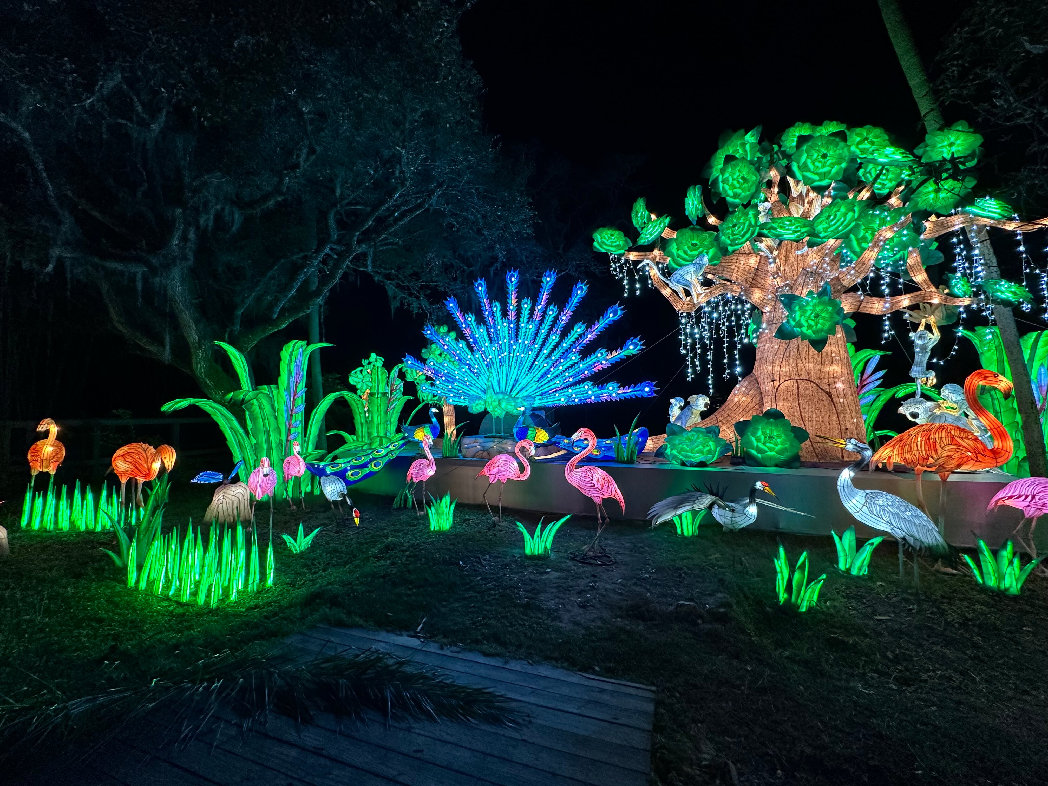 caption.jpg?w=1200&h=-1&s=1