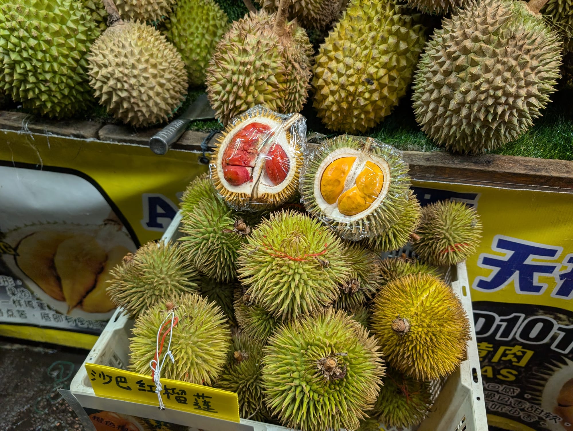 オレンジ色の野生種ドリアン Durio graveolensを味わう@コタキナバル