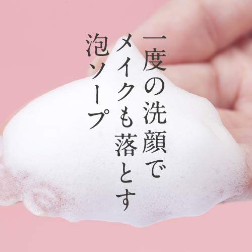 プラスリストア クレンジングソープ泡 ホームケア 2個セット